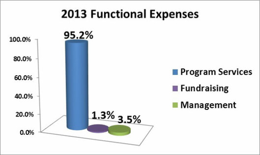 2013 Expenses