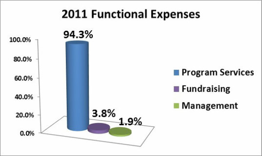 2011 Expenses