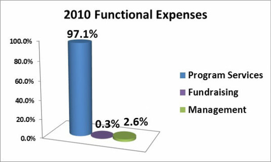 2010 Expenses